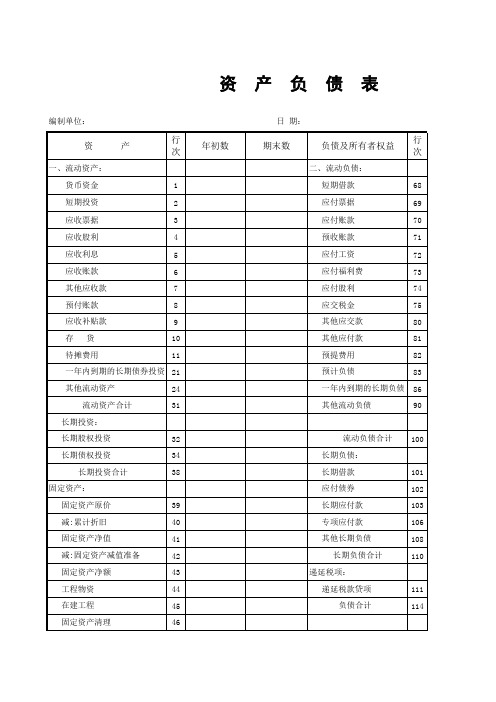 财务报表模板(企业会计制度)