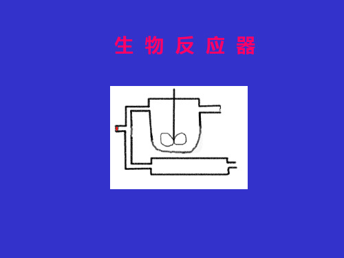 生物酶反应器讲座PPT