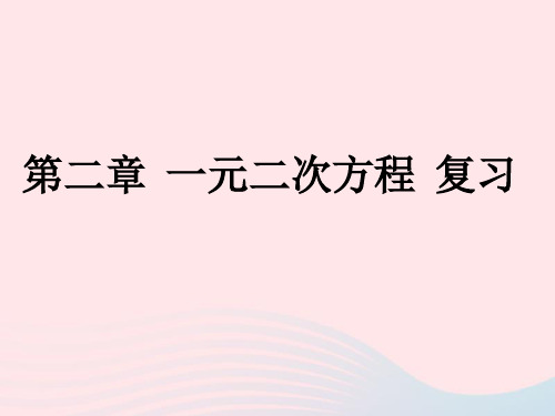 九年级数学上册第二章一元二次方程复习新版北师大版