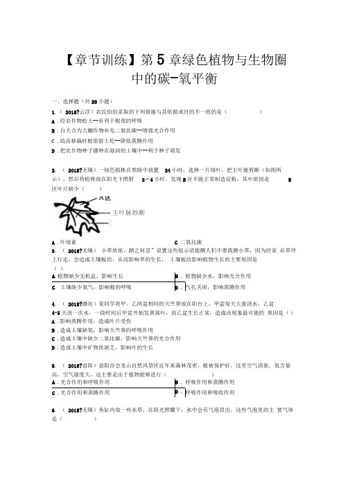 2018秋人教版生物七年级上册第3单元第5章《绿色植物与生物圈中的碳-氧平衡》单元测试