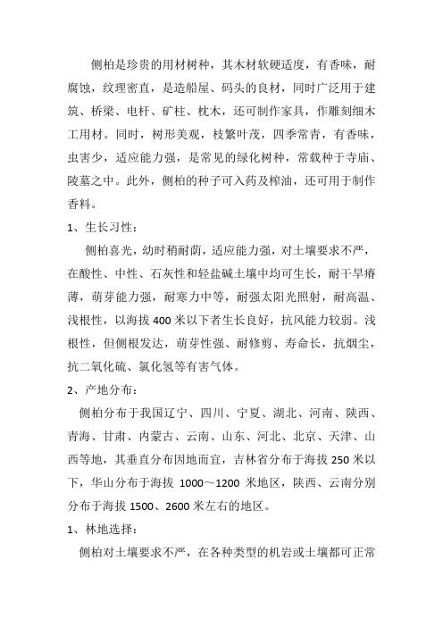 侧柏的生长习性及养护