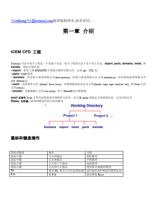 ANSYS.ICEM.CFD中文入门教材