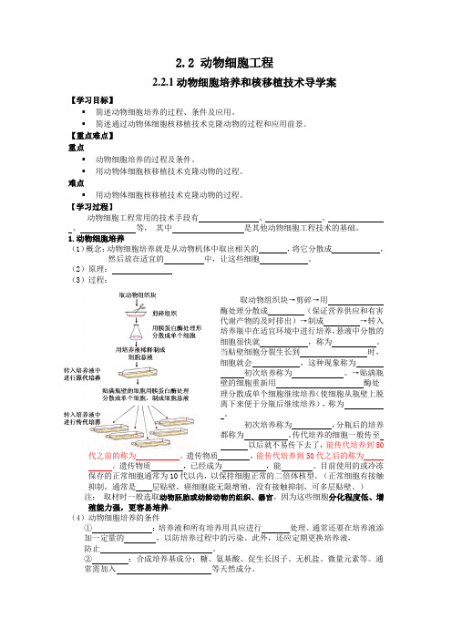 动物细胞培养和核移植技术导学案