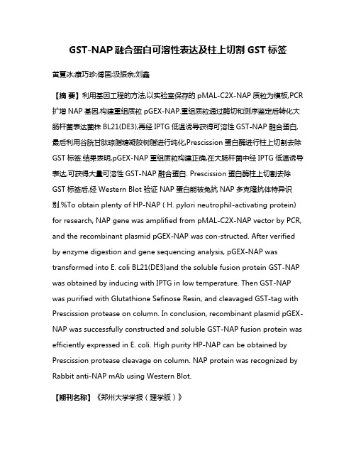 GST-NAP融合蛋白可溶性表达及柱上切割GST标签