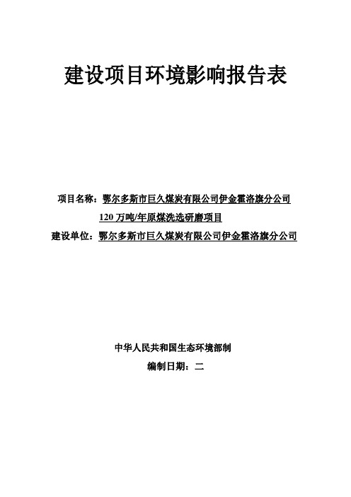 120万吨年原煤洗选研磨项目环境影响报告