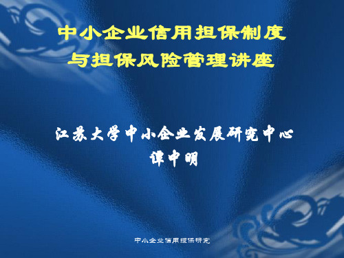 中小企业信用担保制度与担保风险管理讲座