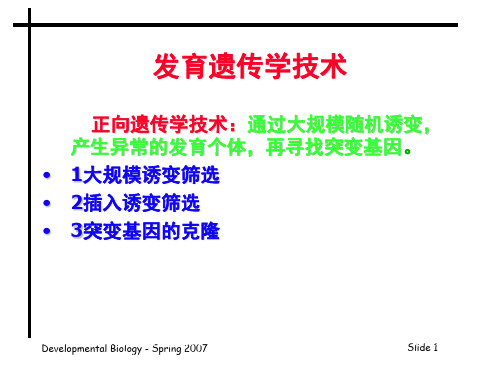 发育生物学——发育生物学研究技术