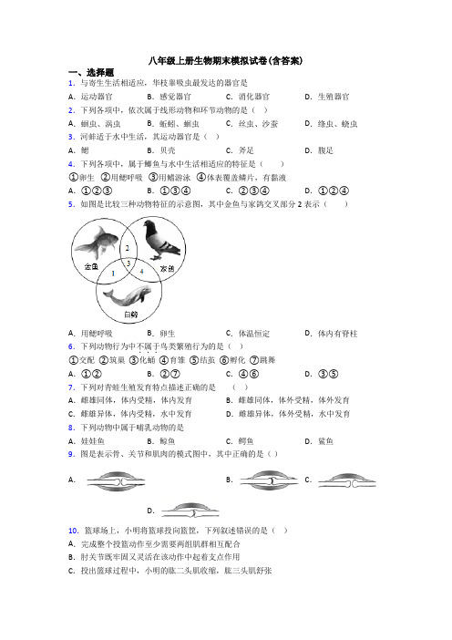 八年级上册生物期末模拟试卷(含答案)