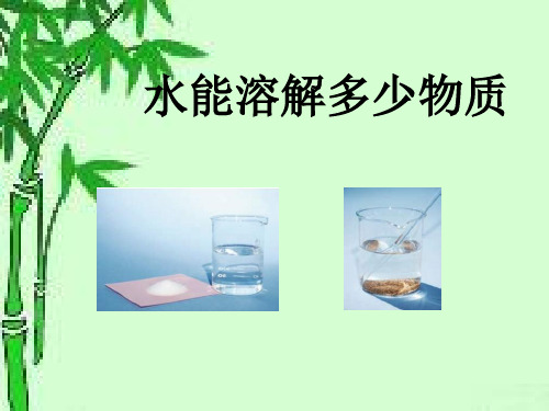 三年级上册科学课件-1.5 水能溶解多少物质｜教科版 (共20张PPT)