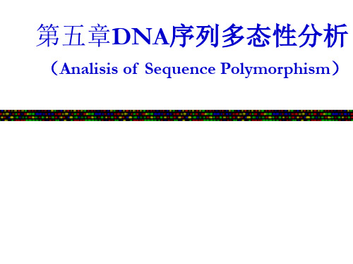 第5章 DNA序列多态性分析