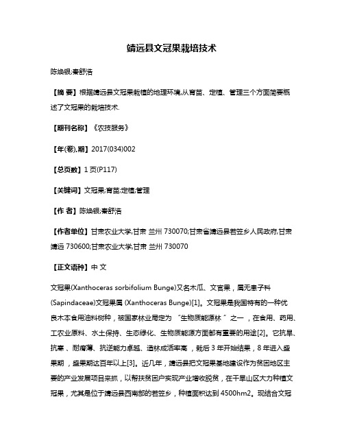 靖远县文冠果栽培技术