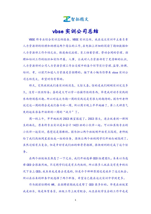 【智拓精文】vbse实训公司总结