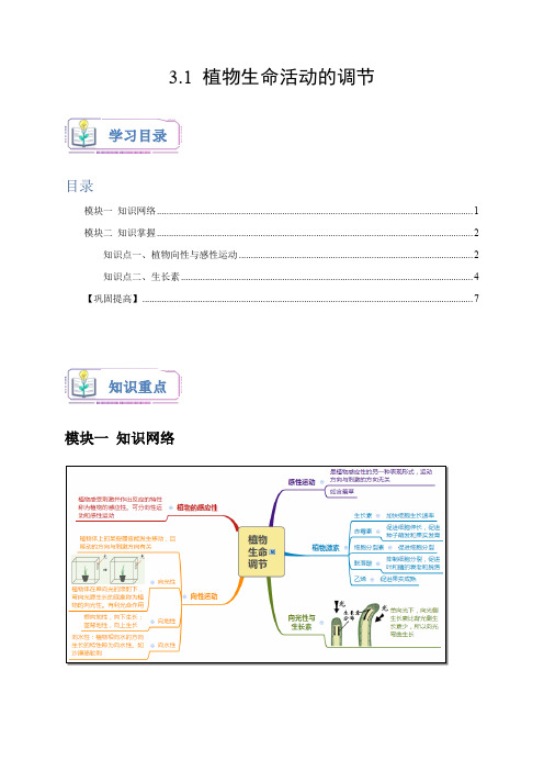 植物生命活动的调节(原卷版)