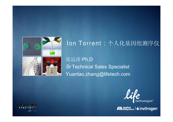 Ion Torrent
