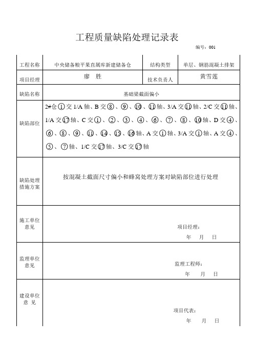 质量缺陷处理记录表