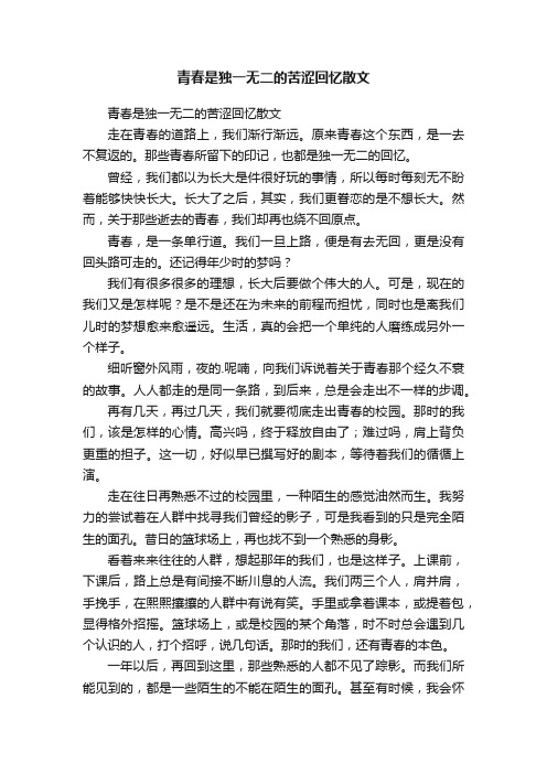 青春是独一无二的苦涩回忆散文