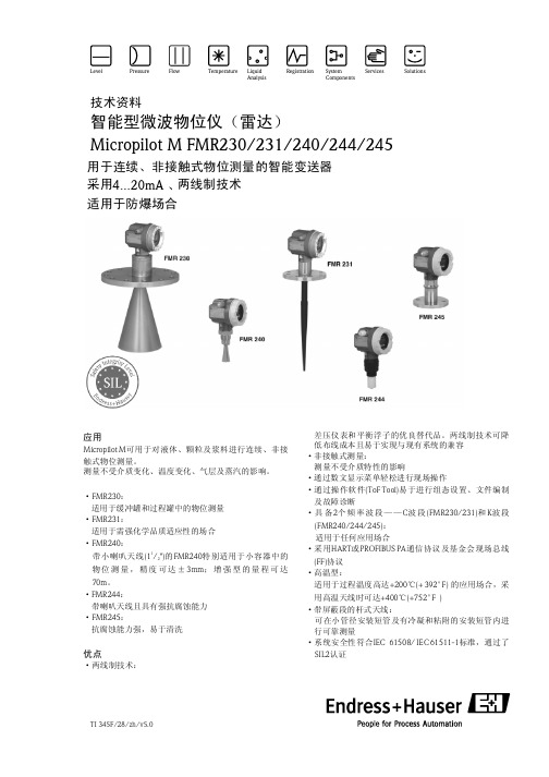 E+H雷达说明书