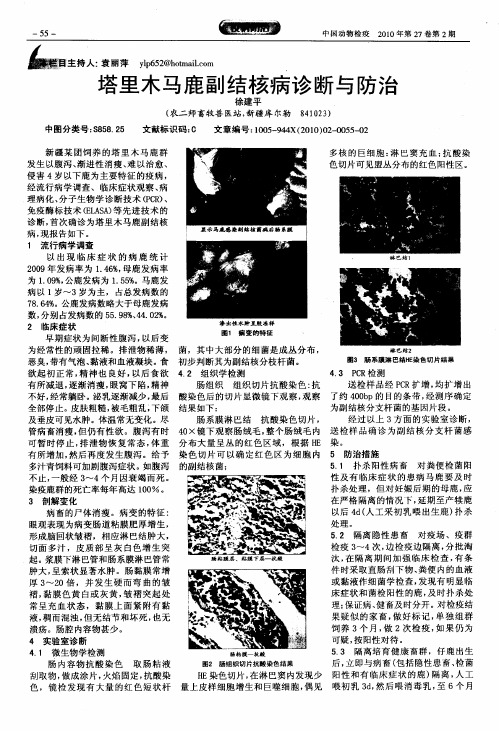 塔里木马鹿副结核病诊断与防治