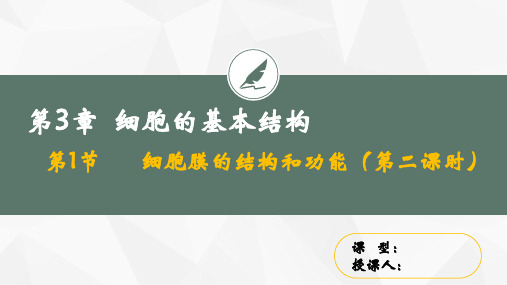 3.1 细胞膜的结构和功能(第二课时)高一生物上学期课件(2019人教版必修1)