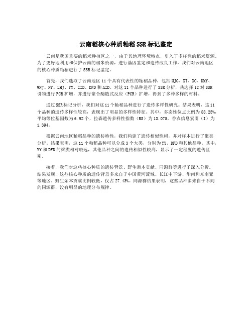 云南稻核心种质籼稻SSR标记鉴定