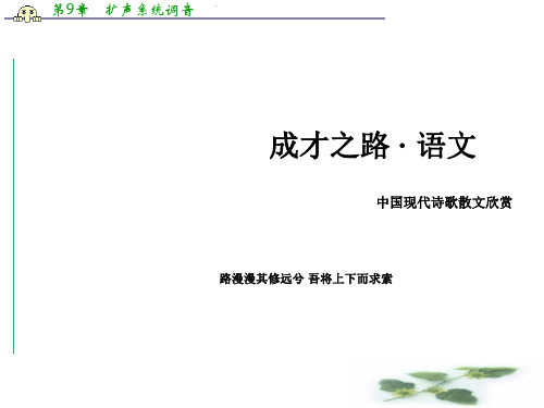 高中语文中国现代诗歌散文欣赏课件：诗歌 第2单元 精读贺新郎