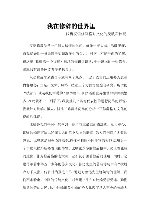 我在修辞的世界里