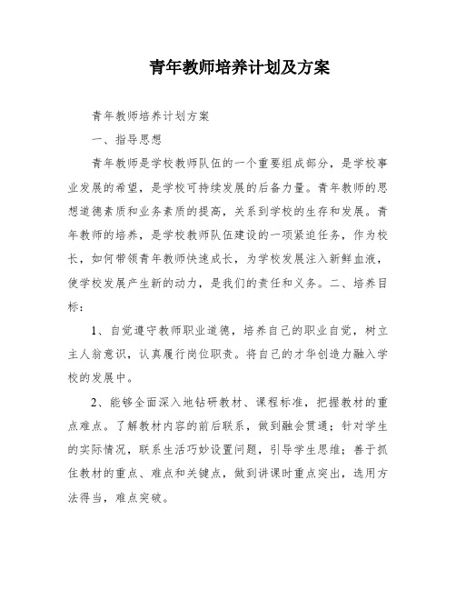 青年教师培养计划及方案