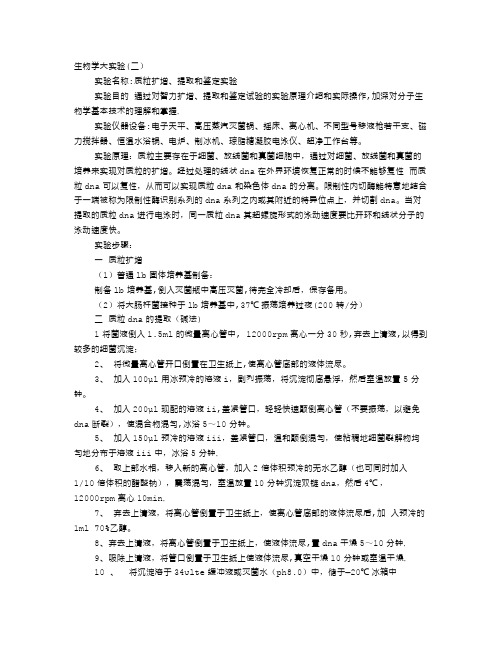 DNA提取实验报告