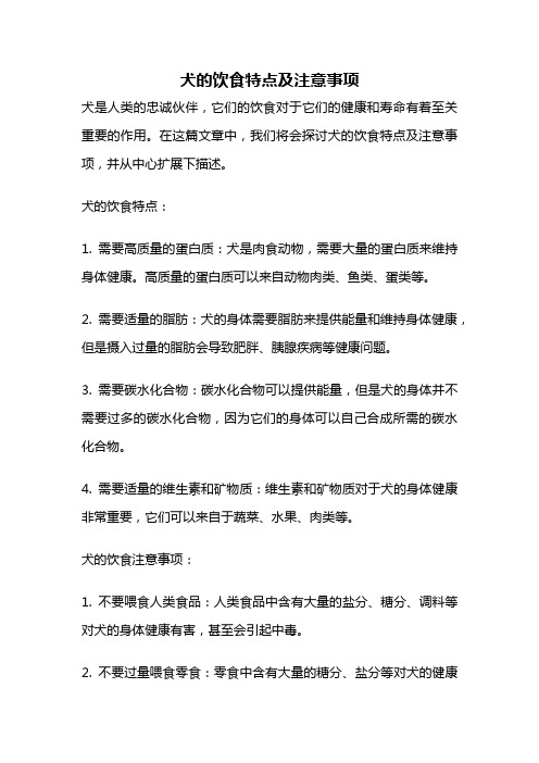 犬的饮食特点及注意事项