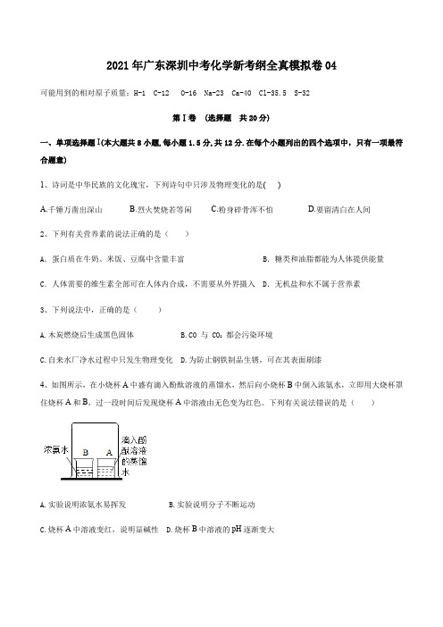 2021年广东深圳中考化学新考纲全真模拟卷04 原卷