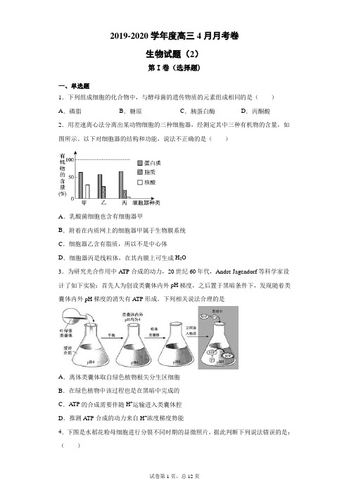 2019-2020学年度高三4月月考卷生物试题(2)(带答案解析)