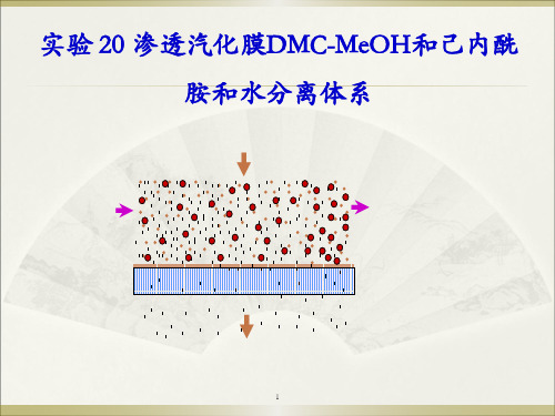 渗透汽化实验课件