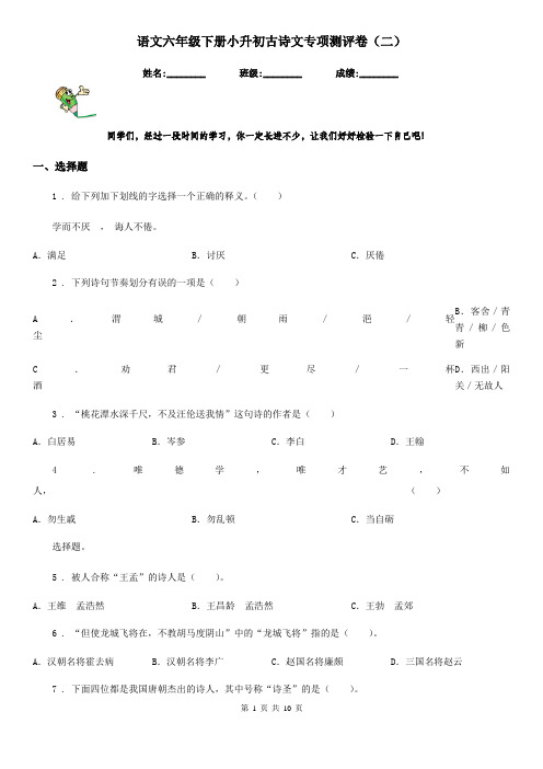 语文六年级下册小升初古诗文专项测评卷(二)