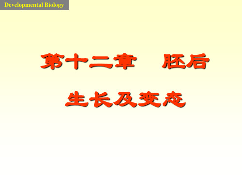 胚后生长及变态ppt课件