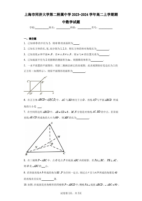 上海市同济大学第二附属中学2023-2024学年高二上学期期中数学试题