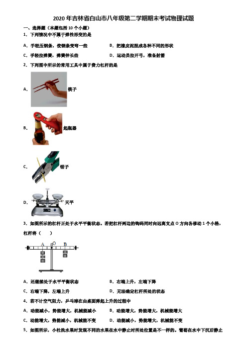 2020年吉林省白山市八年级第二学期期末考试物理试题含解析