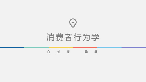 消费者行为学-社会环境与消费者行为