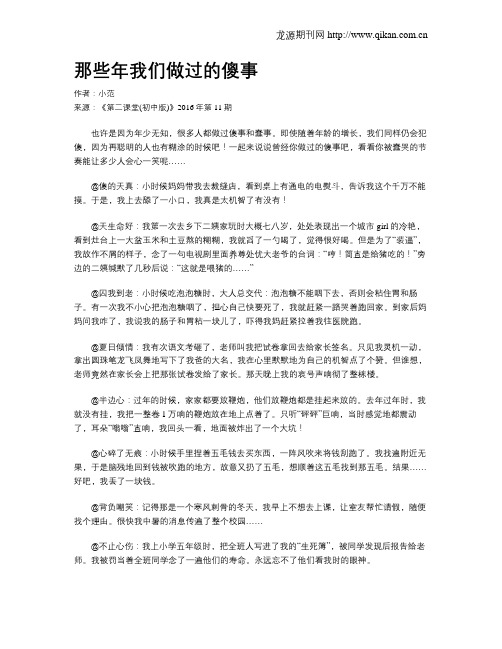 那些年我们做过的傻事