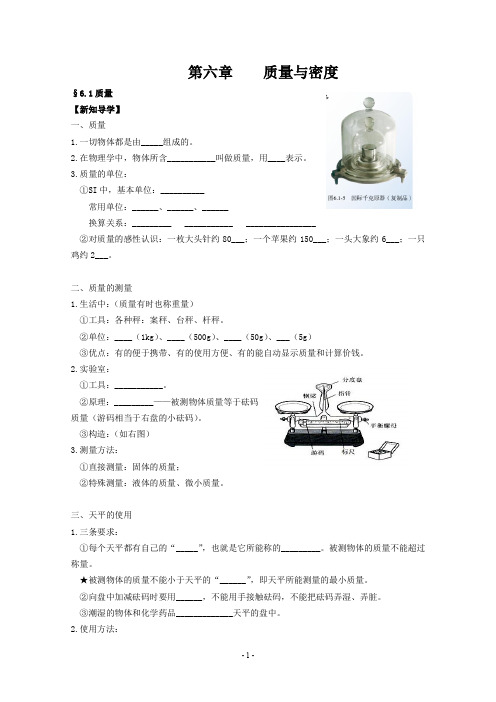 人教版八年级物理第六章《质量与密度》全章导学案