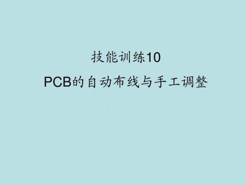 电子CAD技能实训10