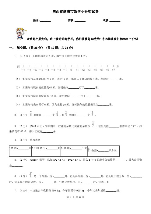 陕西省商洛市数学小升初试卷