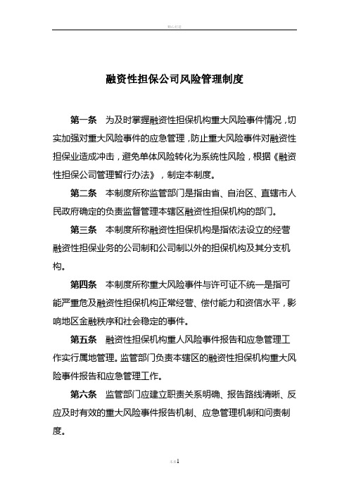 融资性担保公司风险管理制度