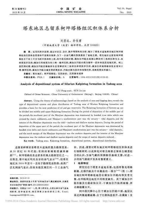 塔东地区志留系柯坪塔格组沉积体系分析
