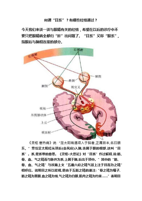 何谓“目系”？有哪些经络通过？