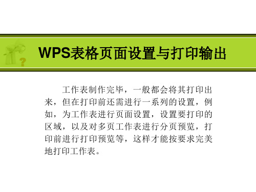 WPS表格页面设置和打印输出