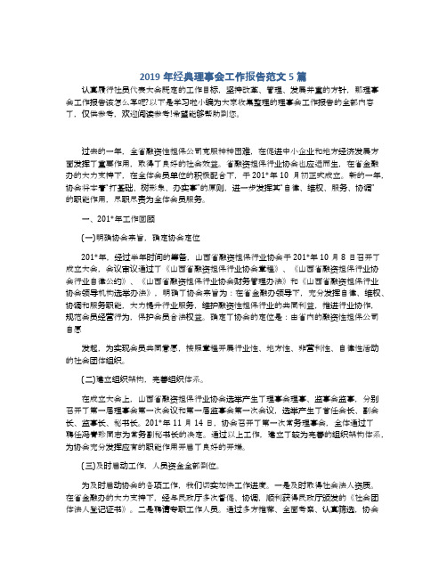 2019年经典理事会工作报告范文5篇