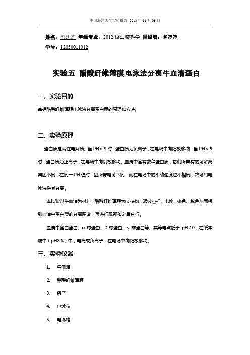 实验五 醋酸纤维薄膜电泳法分离牛血清蛋白