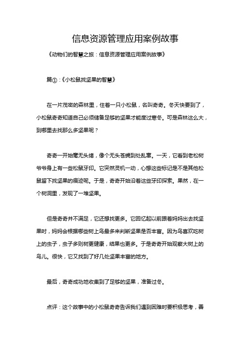 信息资源管理应用案例故事