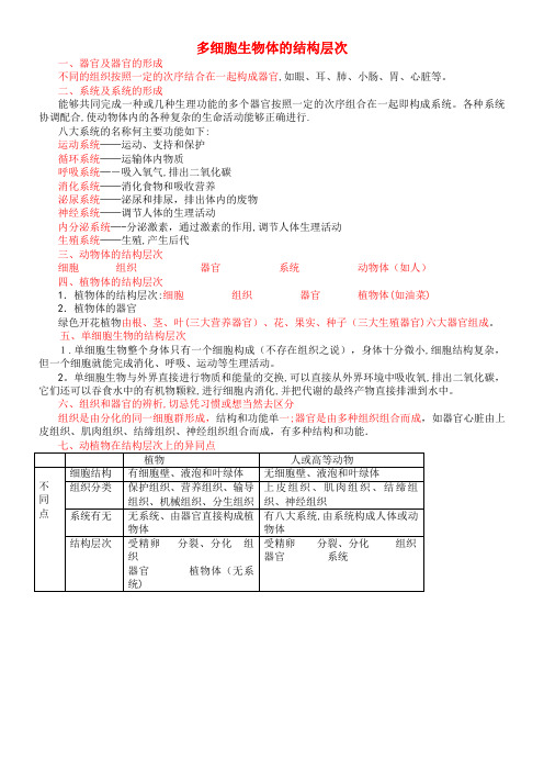 中考生物复习 多细胞生物体的结构层次知识点总结 新人教版(2021-2022学年)