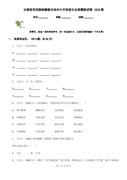 云南省西双版纳傣族自治州小升初语文全真模拟试卷 (2)B卷